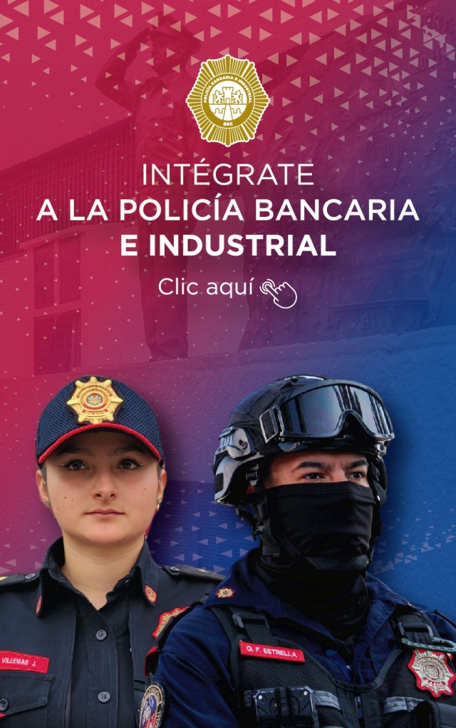 Intégrate a la PBI-03.jpg