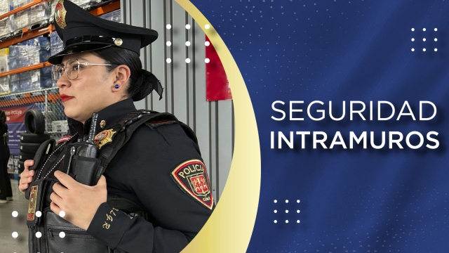 Seguridad Intramuros