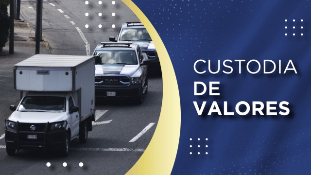 Custodia de Valores
