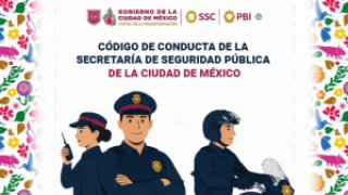 thumb_866905b32683a39b6aa9119fddeef8d11788374139_300x255_auto.png
